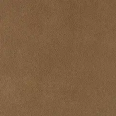 Camel i-Rivers D185575